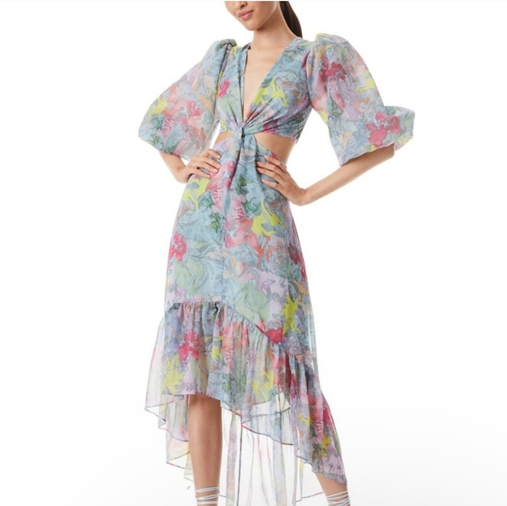 Alice & Olivia Lola's Dream Dress Katia Twist